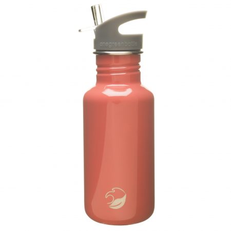 stainless steel water bottle