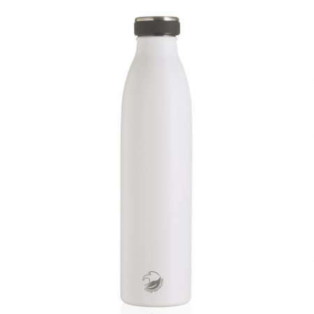 Stainless steel insulated bottle
