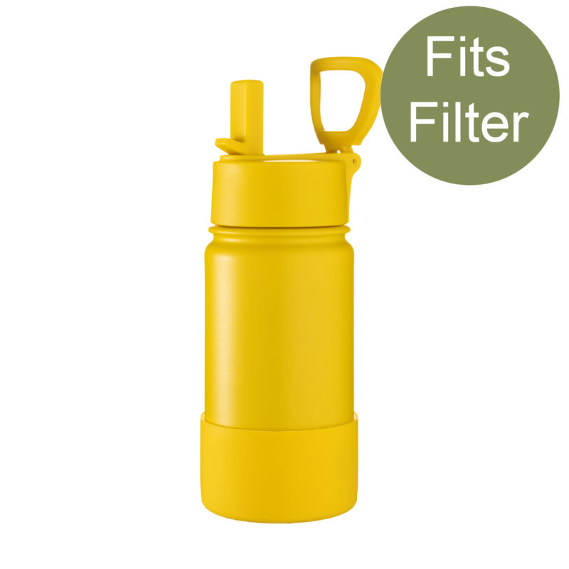 insulated bottle with loose leaf tea filter
