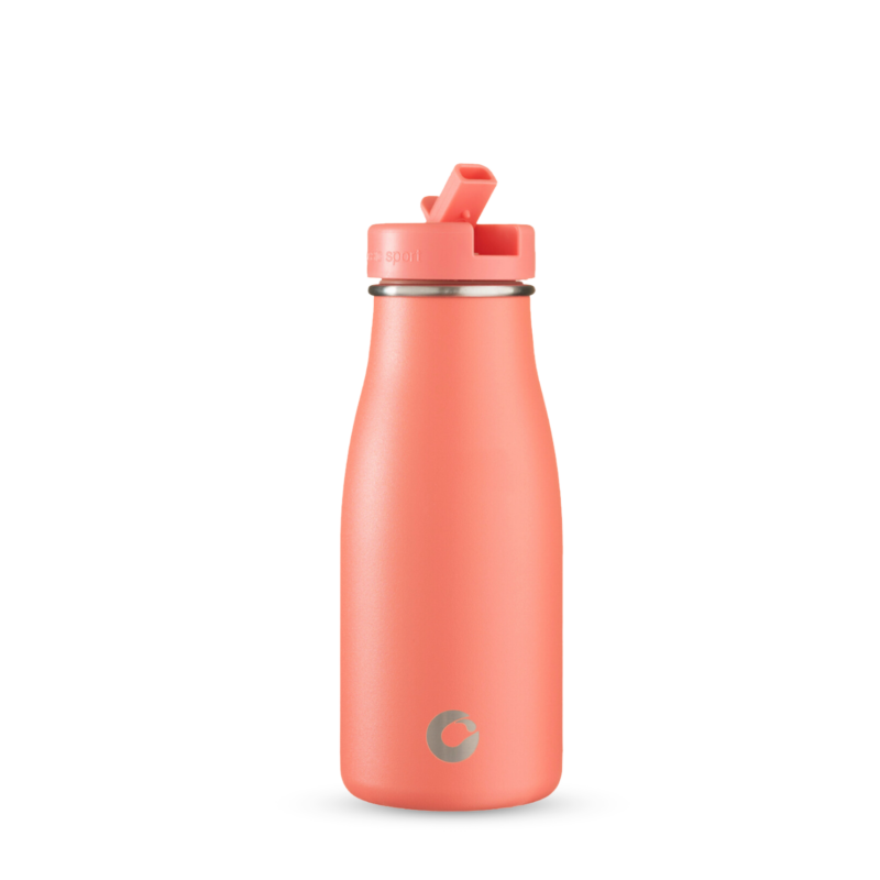 Onegreenbottle BOTL best Performing Water bottle with Straw 