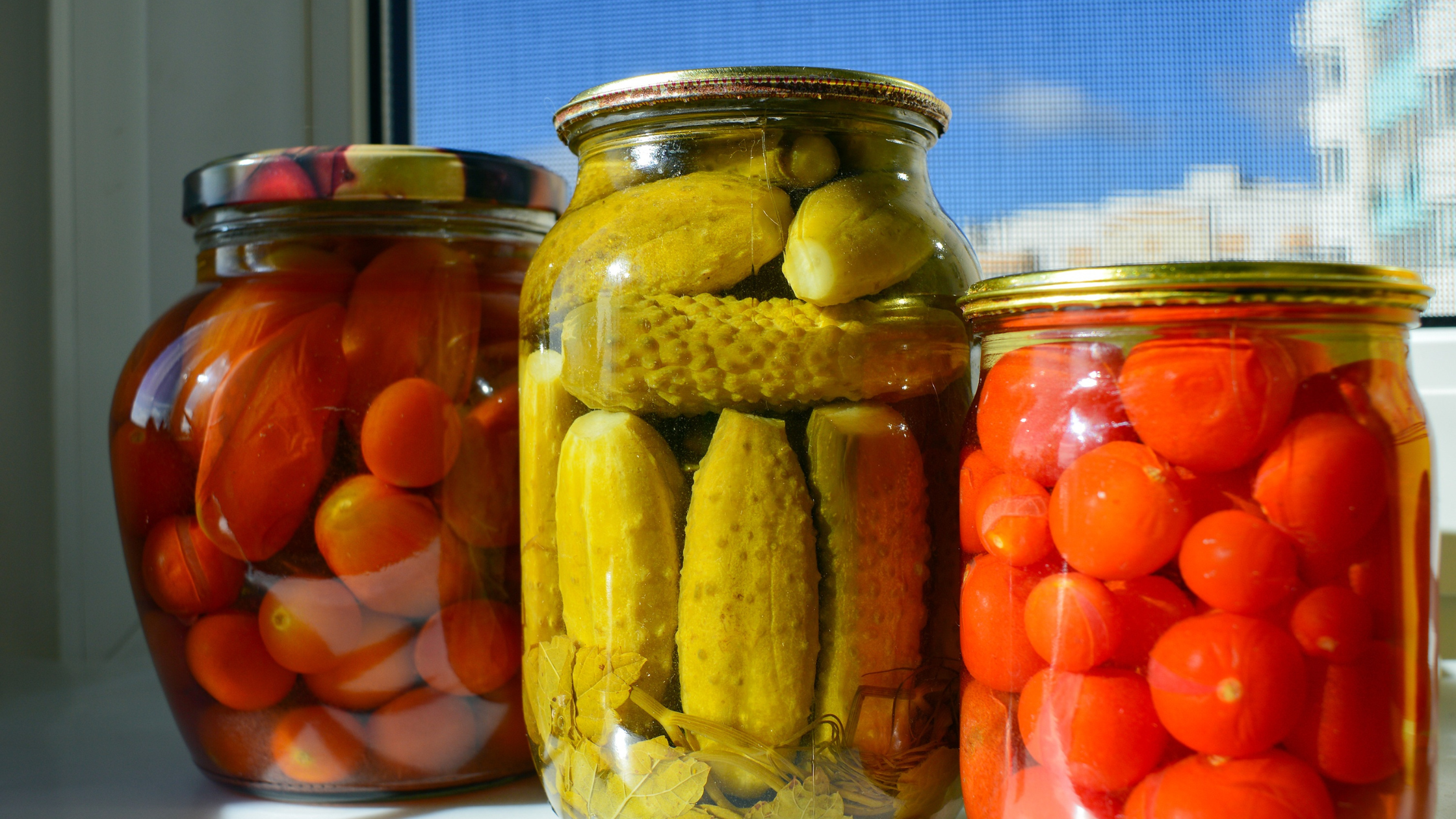 glass food storage