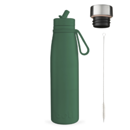 500ml Evolution V2 Gecko Set - stainless steel insulated bottle with straw, screw cap and brush