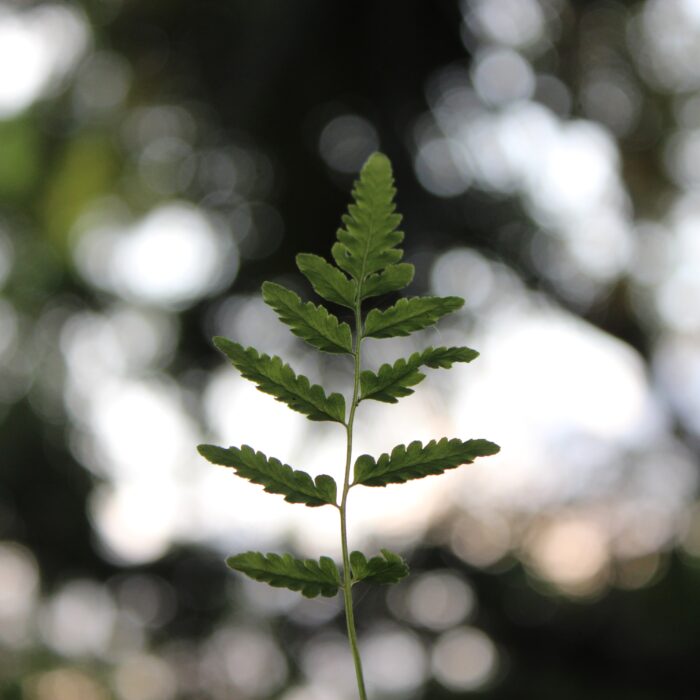 Onegreenbottle BOTL sustainable tips