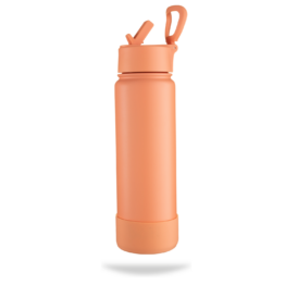 700ml Epic Insulated Stainless Steel bottle - BOTL - Peachy