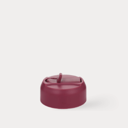 Epic jug bottle  sports cap - dark cherry - straw cap - one green bottle