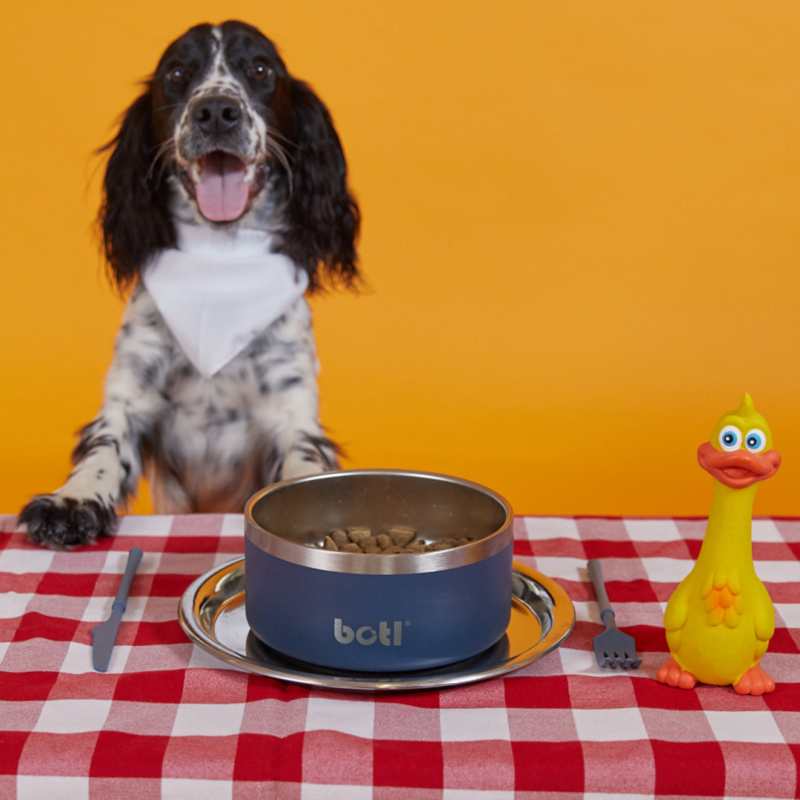 Stainless Steel Pet Bowl - BOTL - 32oz - 1 litre Dog Bowl - Baxter Blue - Image 5