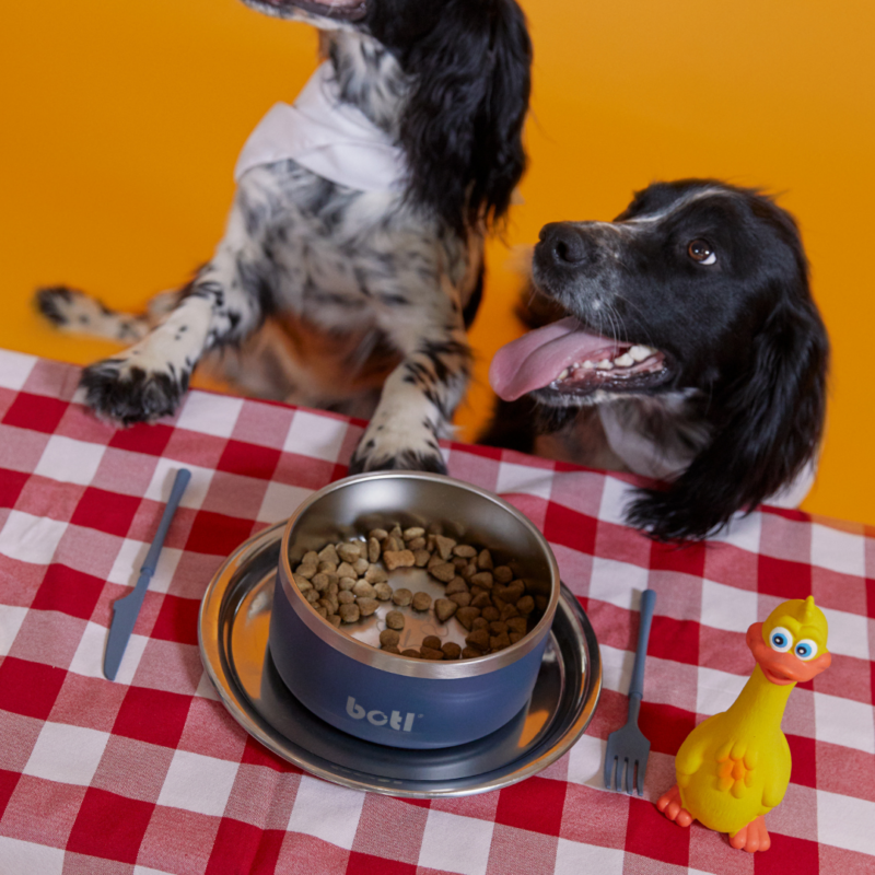 Stainless Steel Pet Bowl - BOTL - 32oz - 1 litre Dog Bowl - Baxter Blue - Image 9
