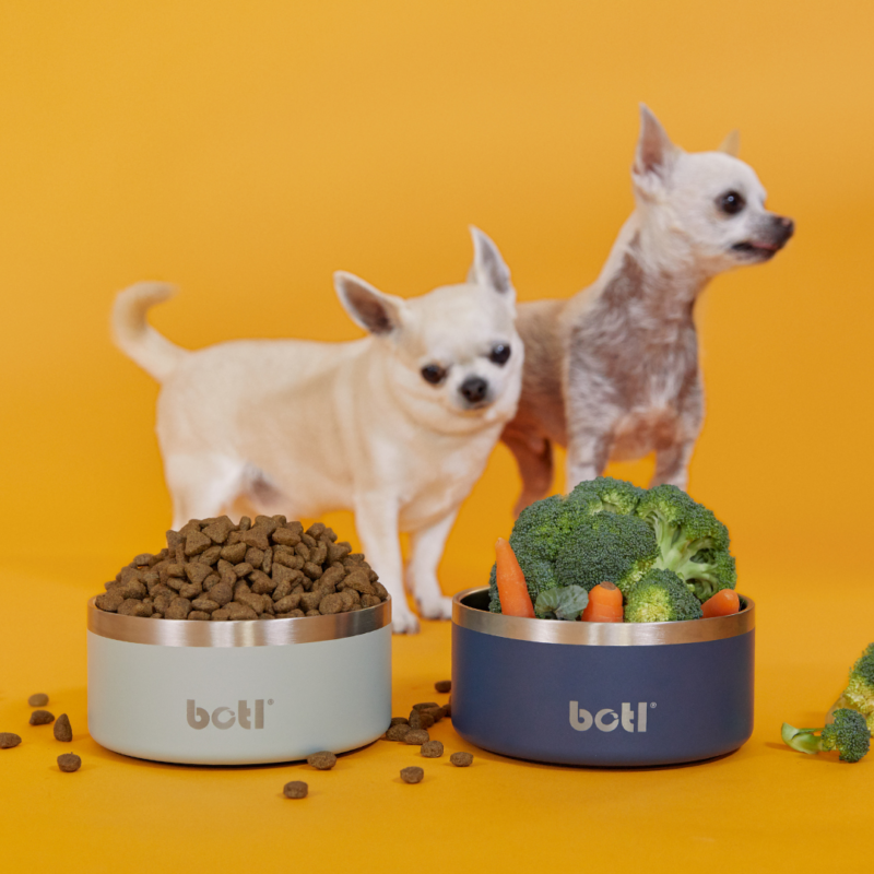 Stainless Steel Pet Bowl - BOTL - 32oz - 1 litre Dog Bowl - Grendel Green - Image 4