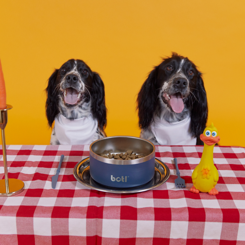 Stainless Steel Pet Bowl - BOTL - 32oz - 1 litre Dog Bowl - Baxter Blue - Image 7