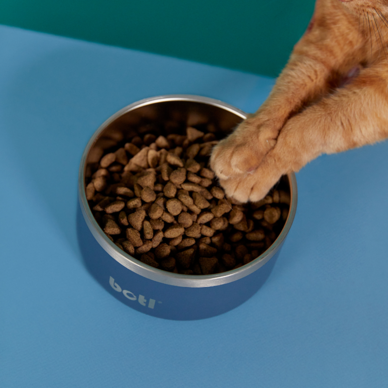Stainless Steel Pet Bowl - BOTL - 32oz - 1 litre Dog Bowl - Baxter Blue - Image 4