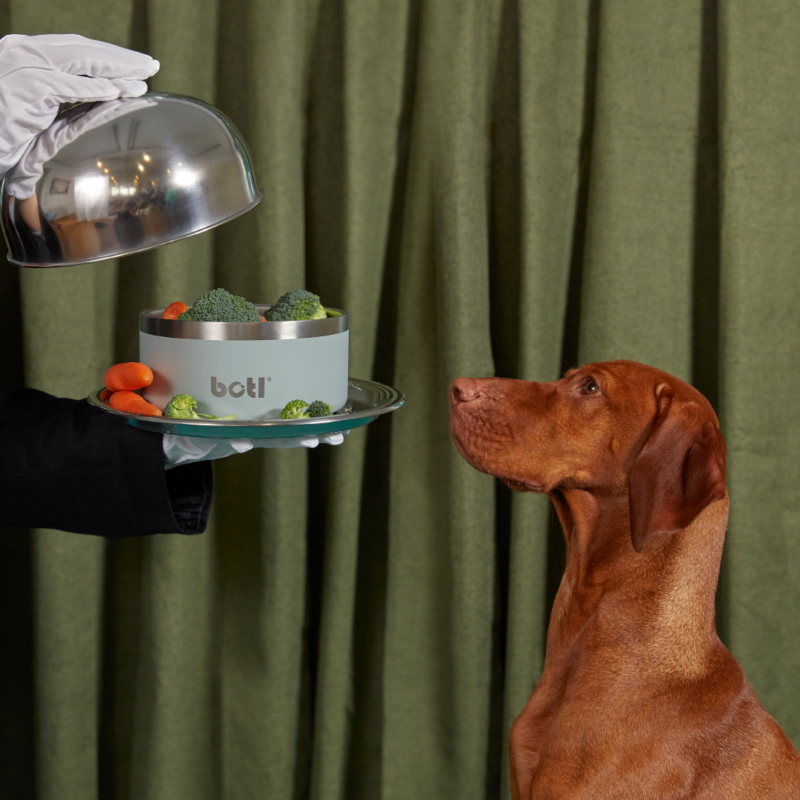 Stainless Steel Pet Bowl - BOTL - 32oz - 1 litre Dog Bowl - Grendel Green - Image 8