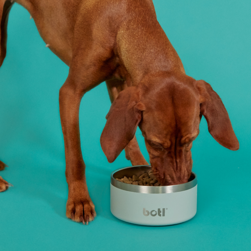 Stainless Steel Pet Bowl - BOTL - 32oz - 1 litre Dog Bowl - Grendel Green - Image 5