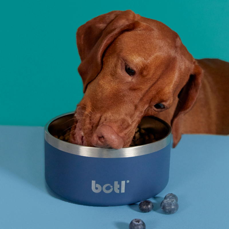Stainless Steel Pet Bowl - BOTL - 32oz - 1 litre Dog Bowl - Baxter Blue - Image 2