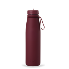 Stainless Steel Water Bottle onegreenbottle BOTL
