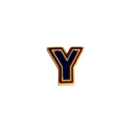 Botl Bits Letter Y