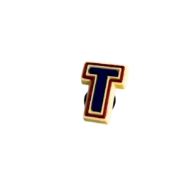 Botl Bits Letter T