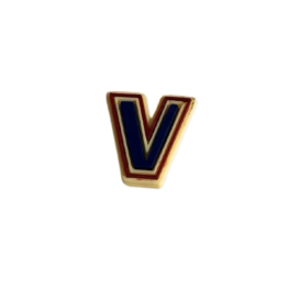 Botl Bits Letter V
