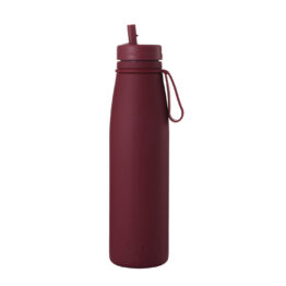 Onegreenbottle BOTL insulated bottle with straw