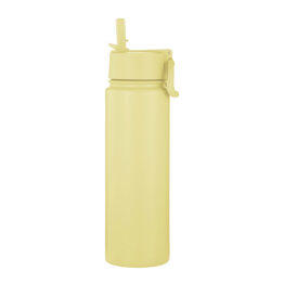 700ml Epic Banana stainless steel vacuum bottle leakproof cap - botl