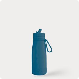 350ml Evolution V2 Slate