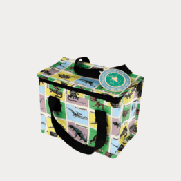 Prehistoric Land Lunch Bag from recycled bottles